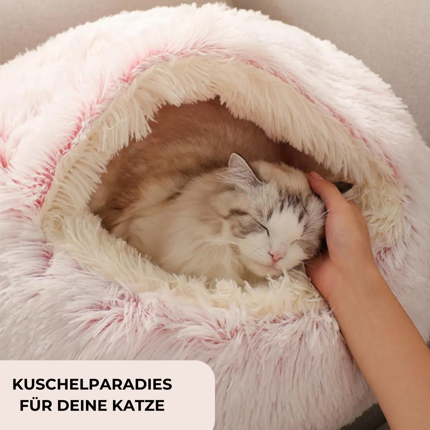 Weiche Kuschelhöhle für Katzen - entspannt einkuscheln und träumen
