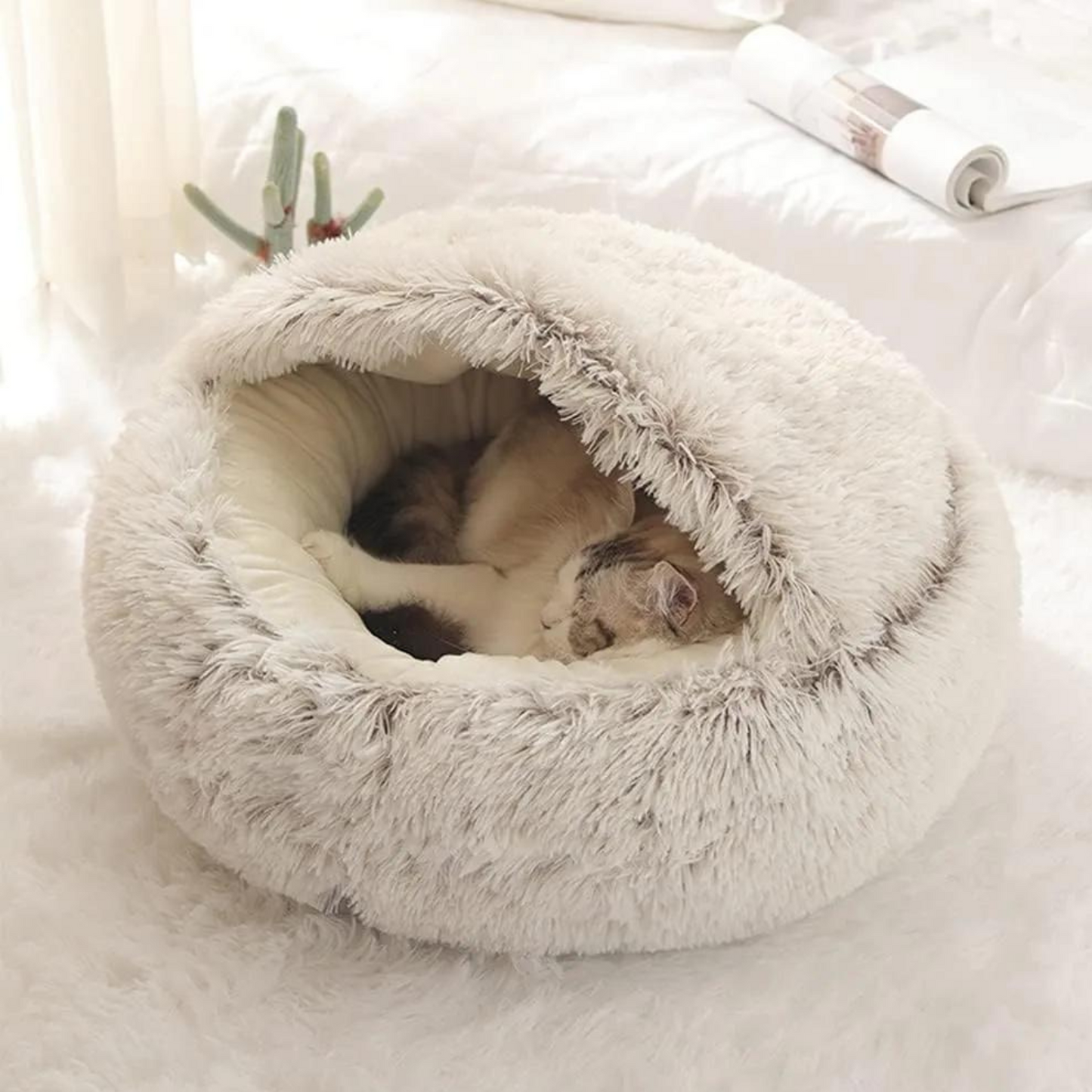 Weiche Kuschelhöhle für Katzen - entspannt einkuscheln und träumen