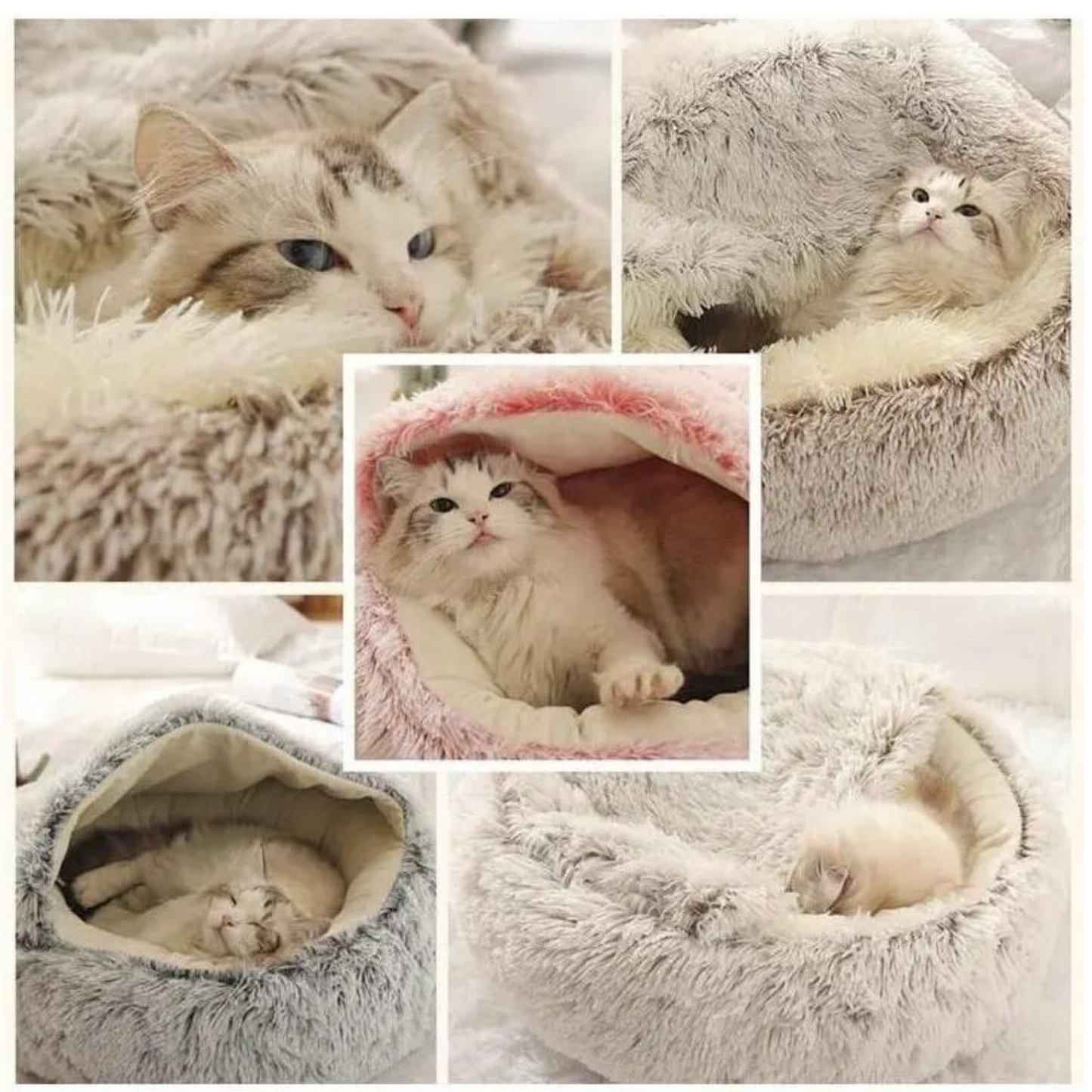 Weiche Kuschelhöhle für Katzen - entspannt einkuscheln und träumen