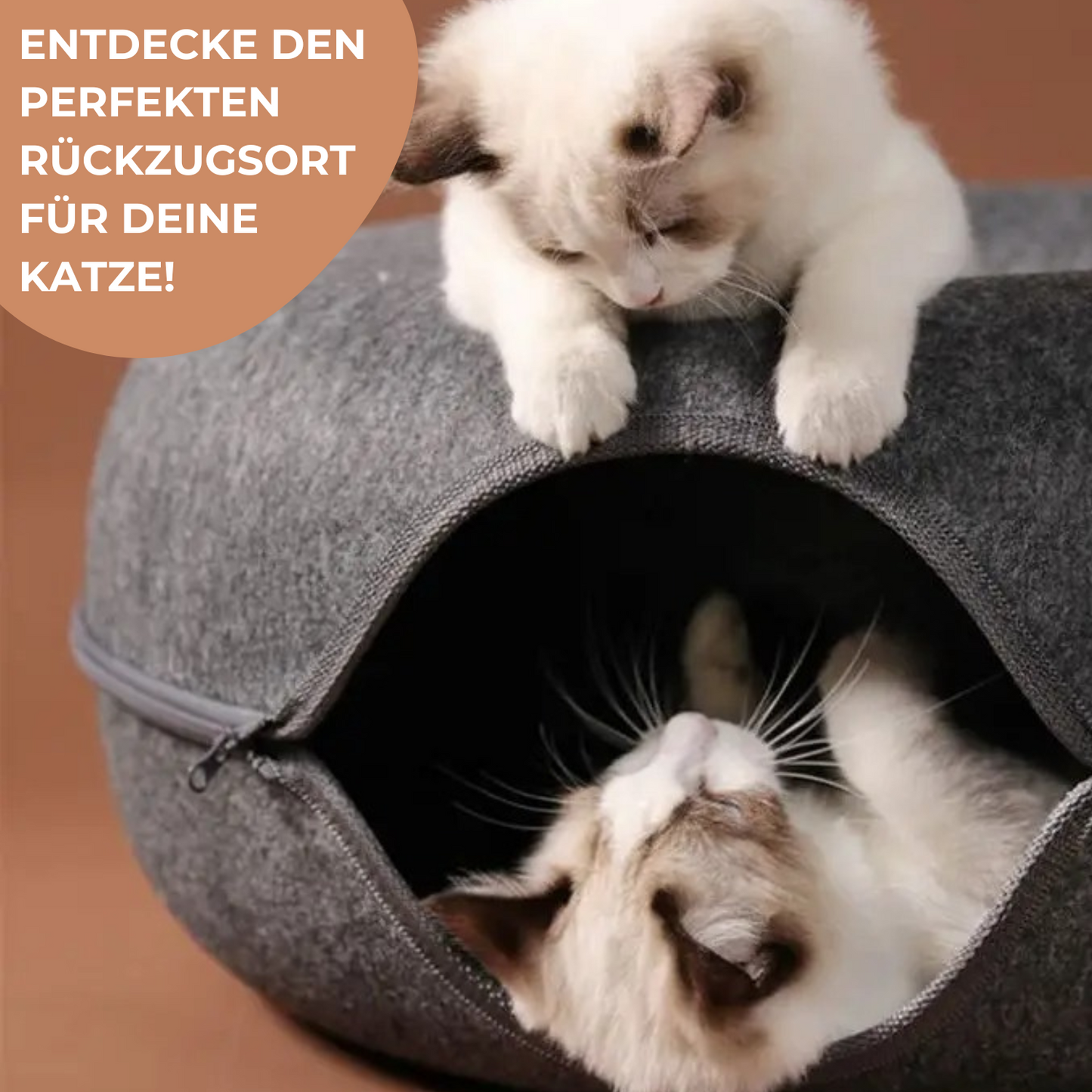 2-in-1 Katzen-Donut mit Tunnel - Entspannung und Spielspass in einem