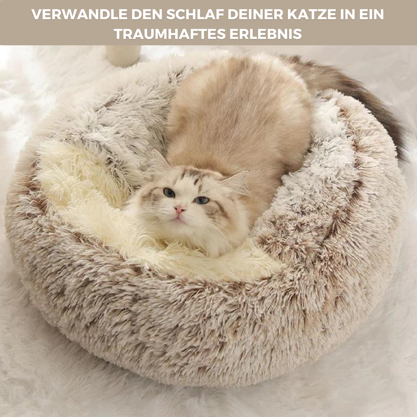 Weiche Kuschelhöhle für Katzen - entspannt einkuscheln und träumen