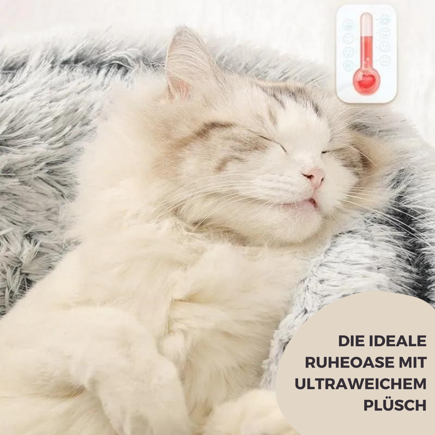 Weiche Kuschelhöhle für Katzen - entspannt einkuscheln und träumen