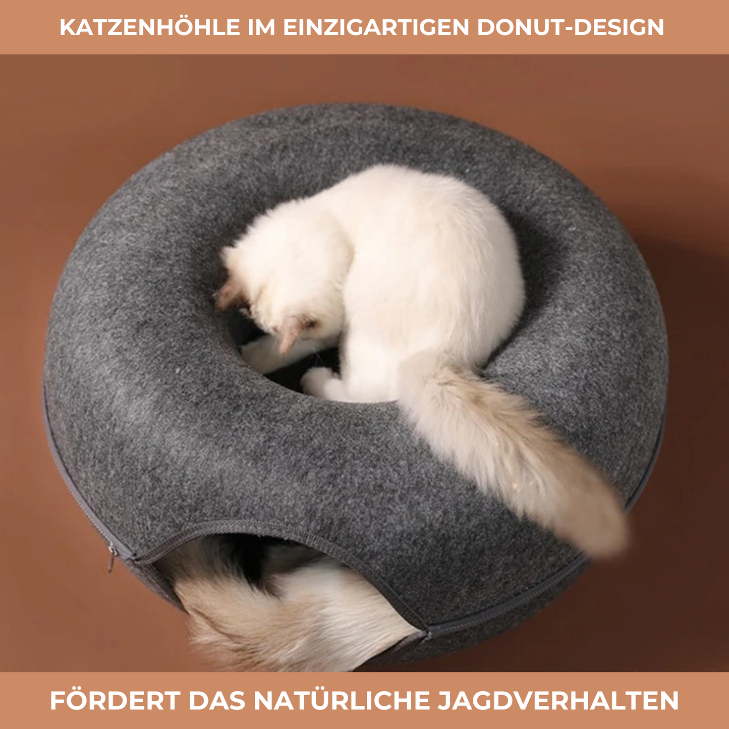 2-in-1 Katzen-Donut mit Tunnel - Entspannung und Spielspass in einem