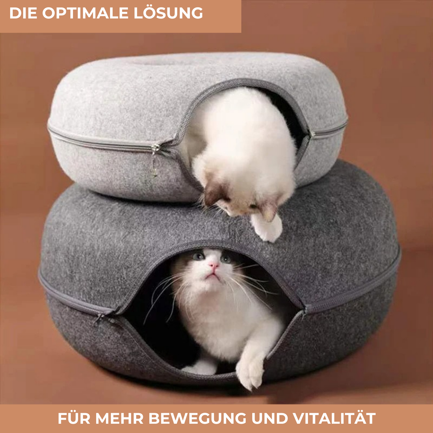 2-in-1 Katzen-Donut mit Tunnel - Entspannung und Spielspass in einem